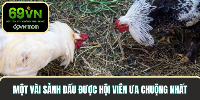 Một vài sảnh đấu được hội viên ưa chuộng nhất